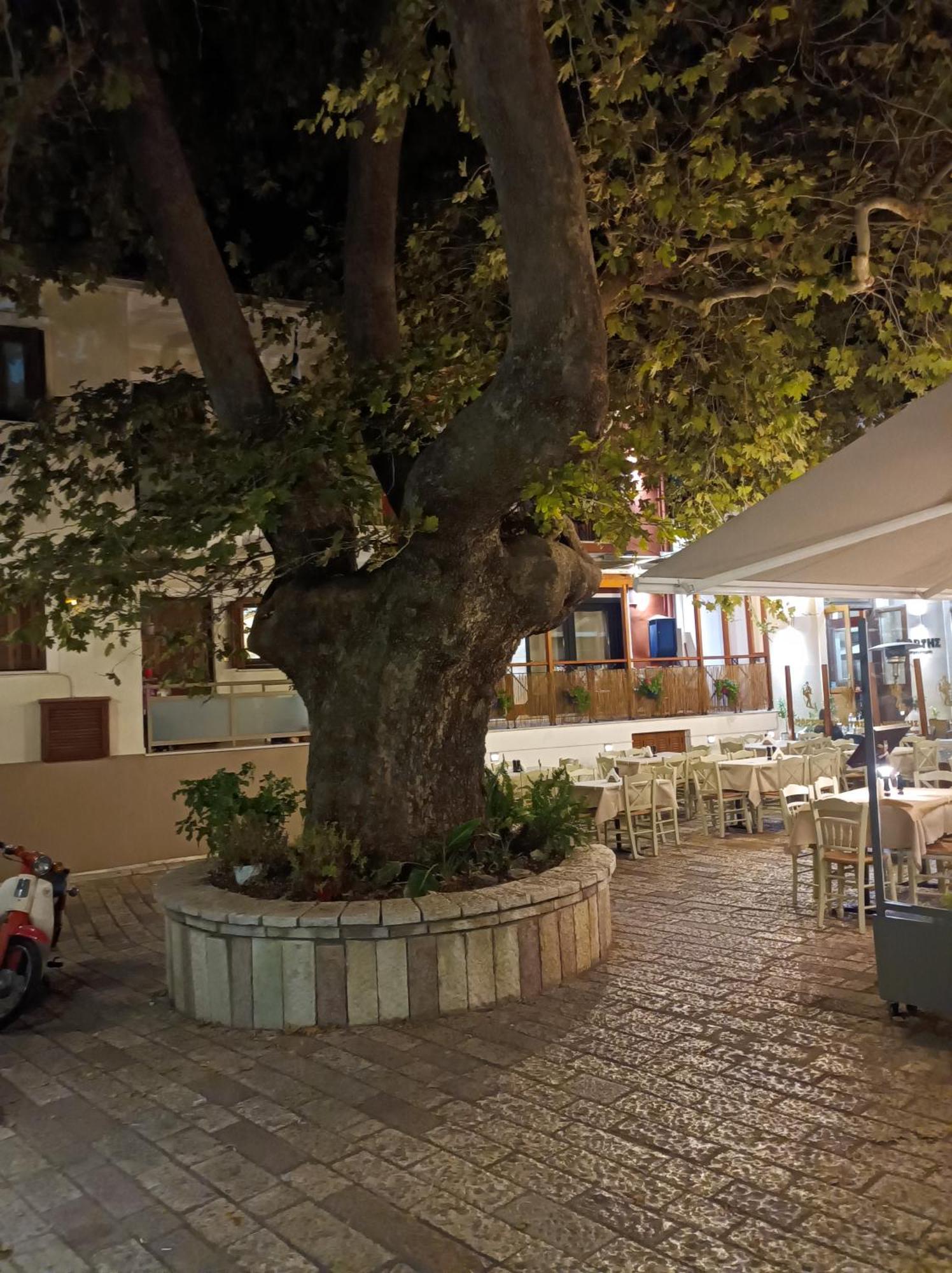 Kelly'S Penthouse Daire Nafpaktos Dış mekan fotoğraf